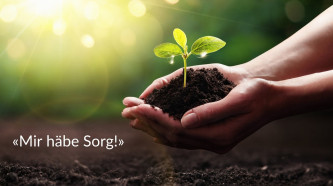 Sorg